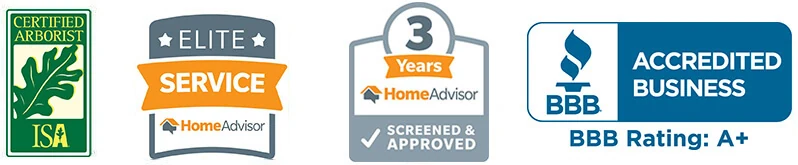 Accredited Tree Service