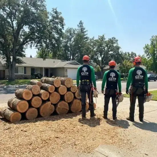 Freshly cut oak logs from a Atlanta tree removal